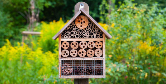 Word hotelmanager van je eigen insectenhotel!