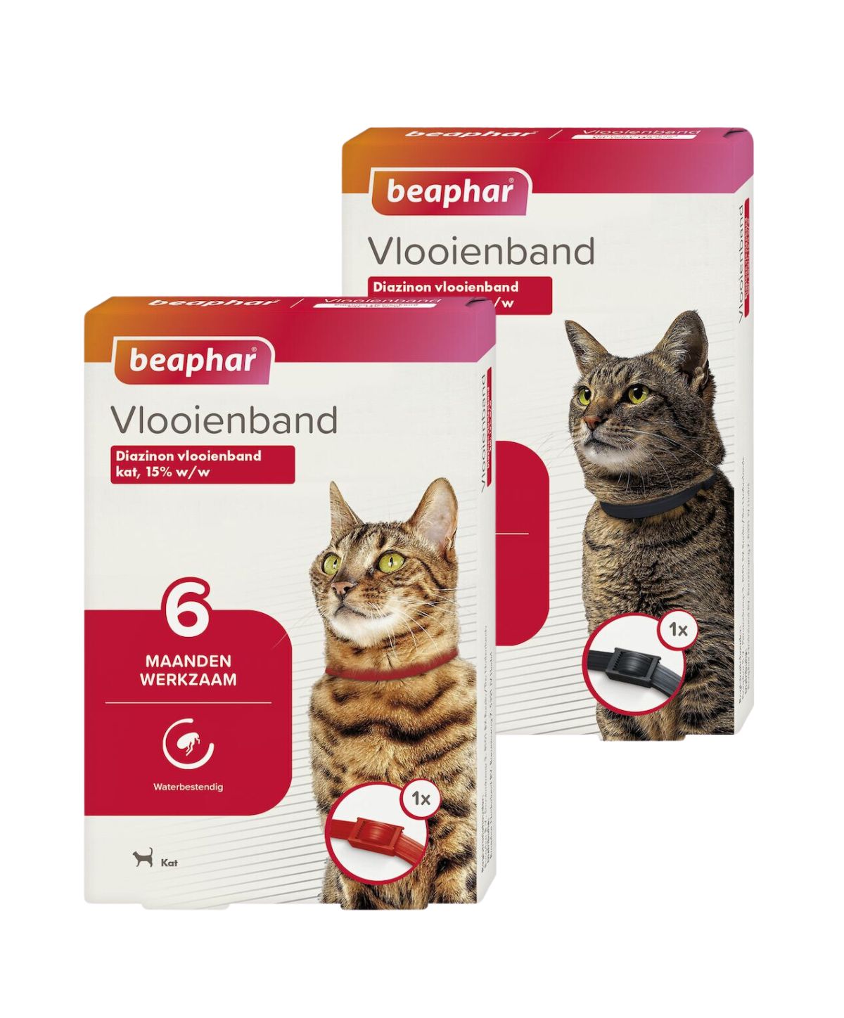 Vlooienband