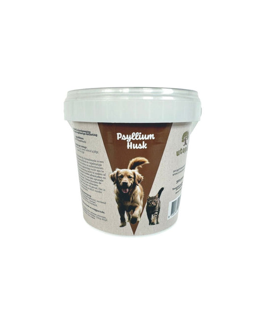 Psyllium husk