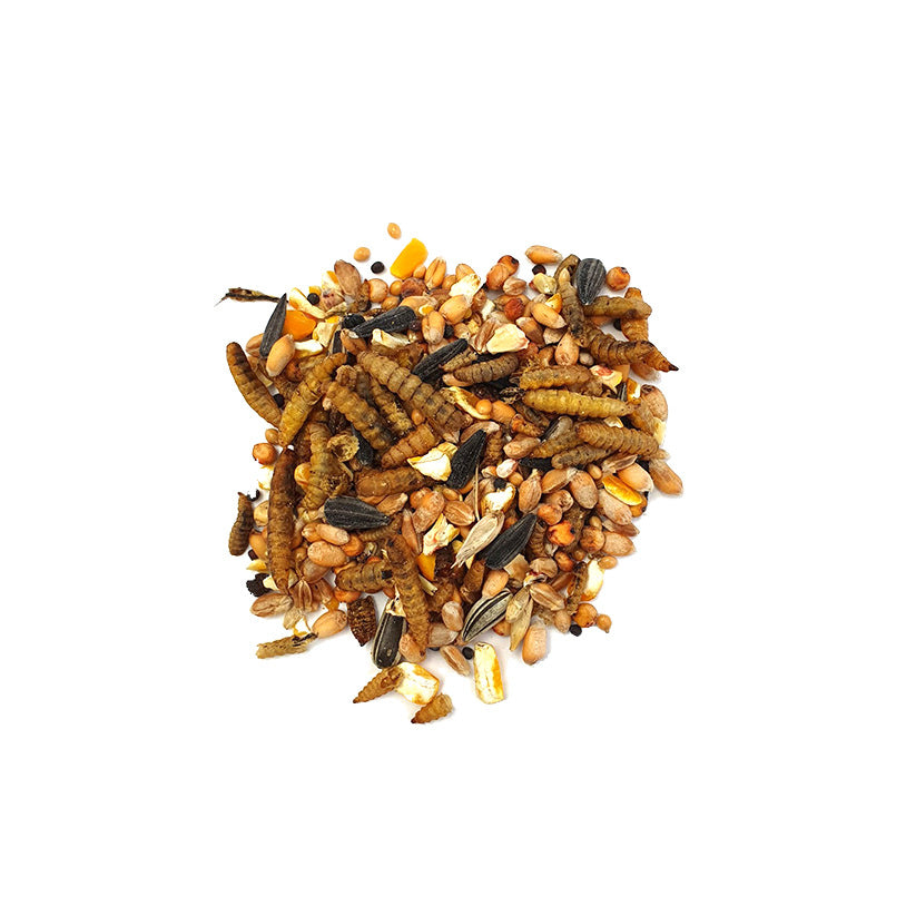 strooivoer foto zaden en insecten