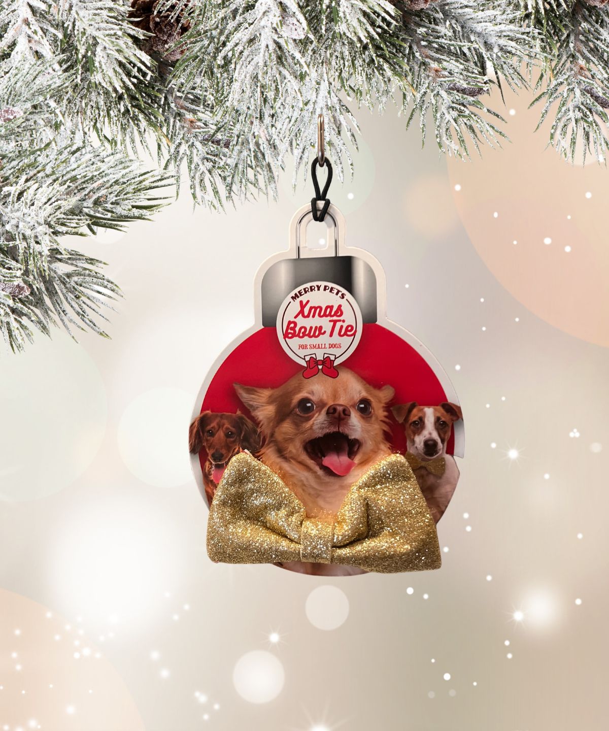 feest strik kerst kleine hond