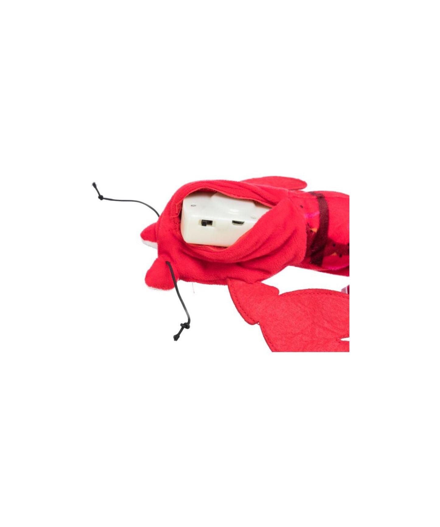Spartelkreeft