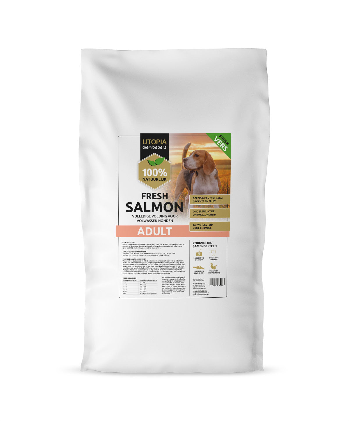 Fresh Salmon Adult