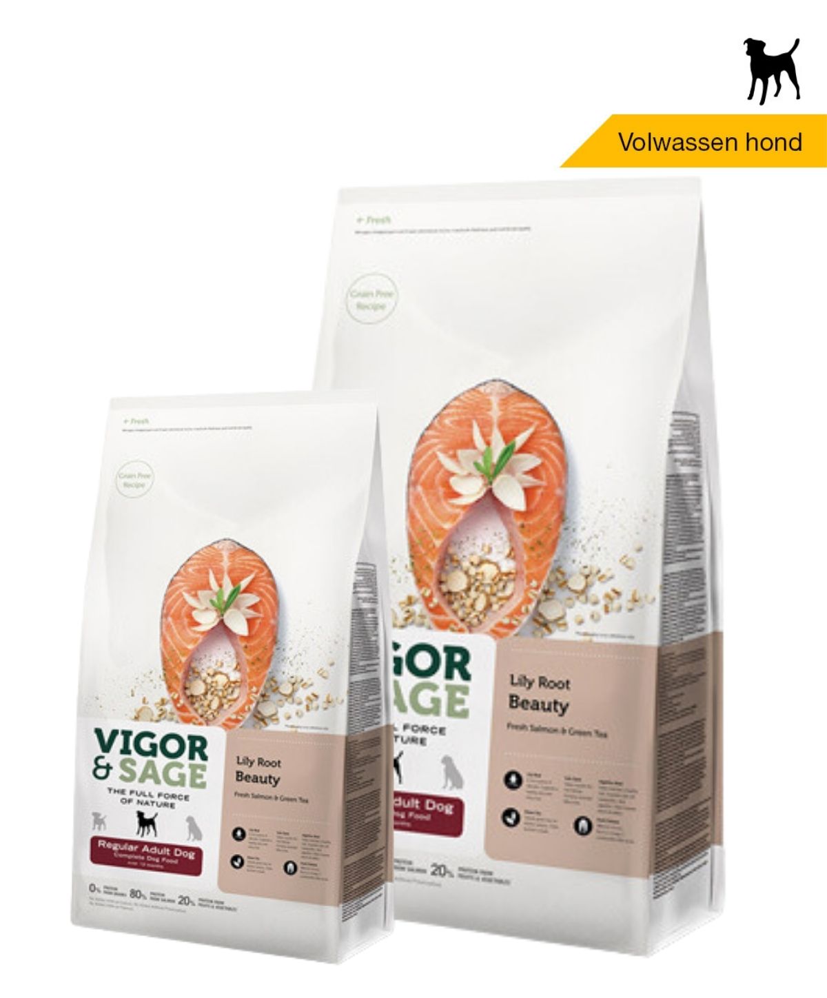 Vigor & Sage Lilly Root Beauty - Regular adult