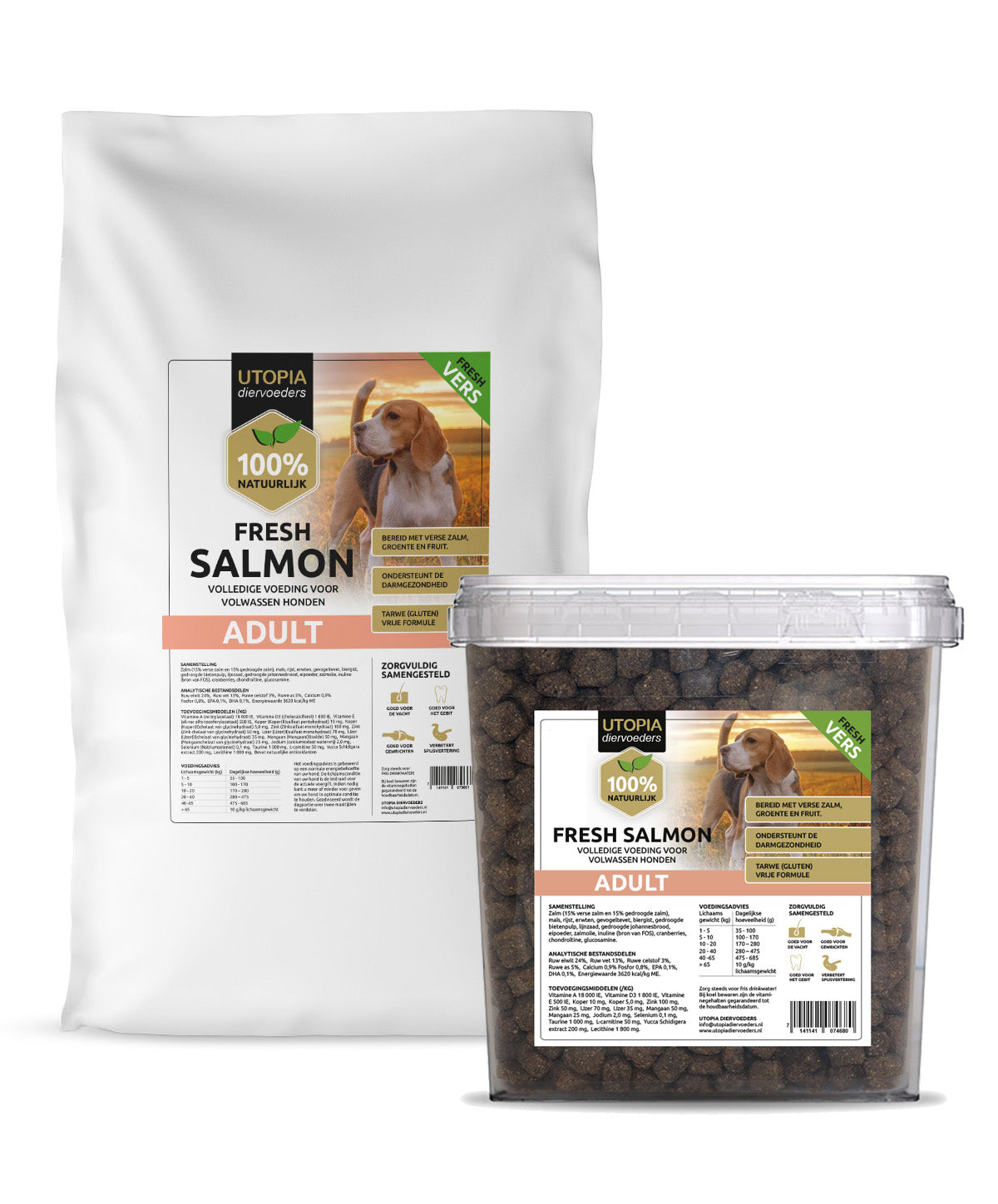 Fresh Salmon Adult