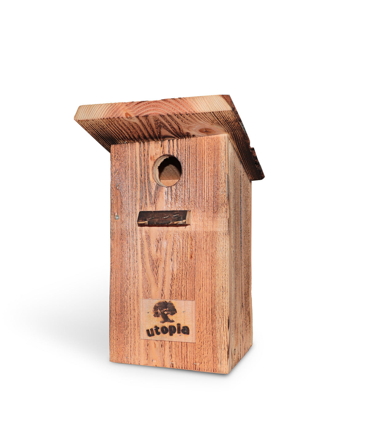 Kool- pimpelmezen nestkast