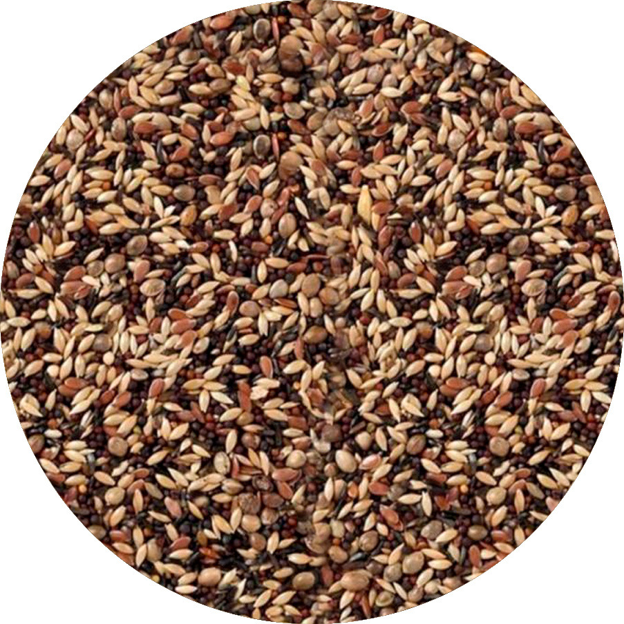 Putters & Sijsjes mix