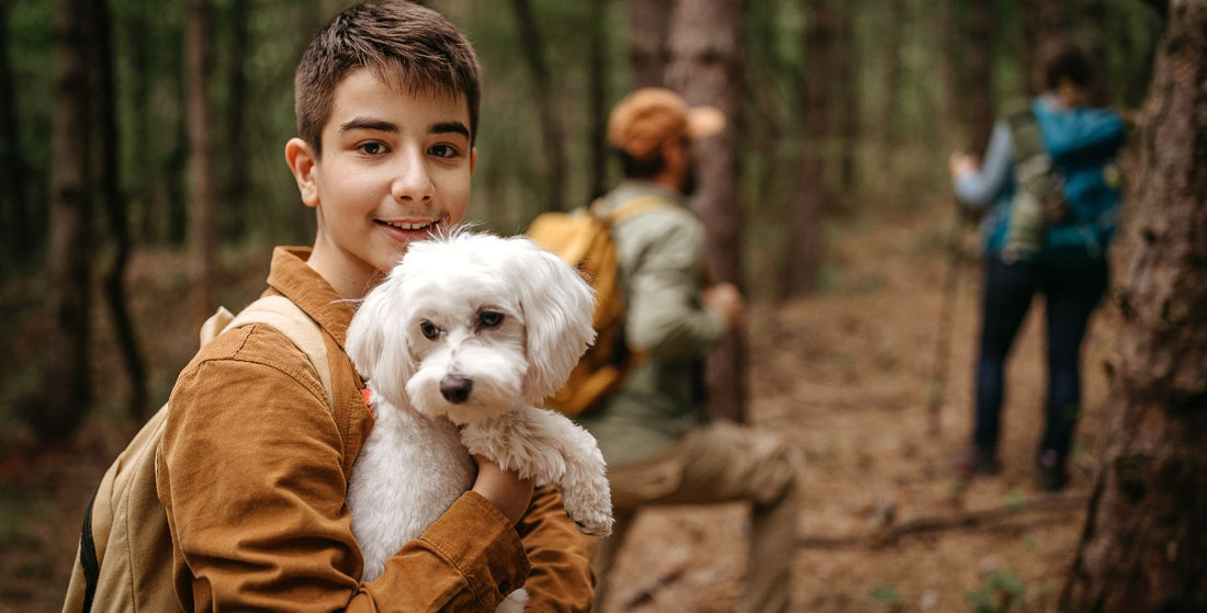 Op stap met je hond