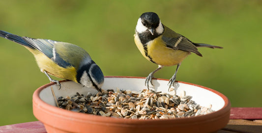 biologisch strooivoer
