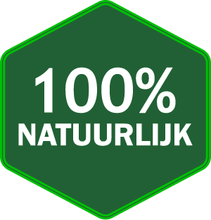 Gedroogde visjes