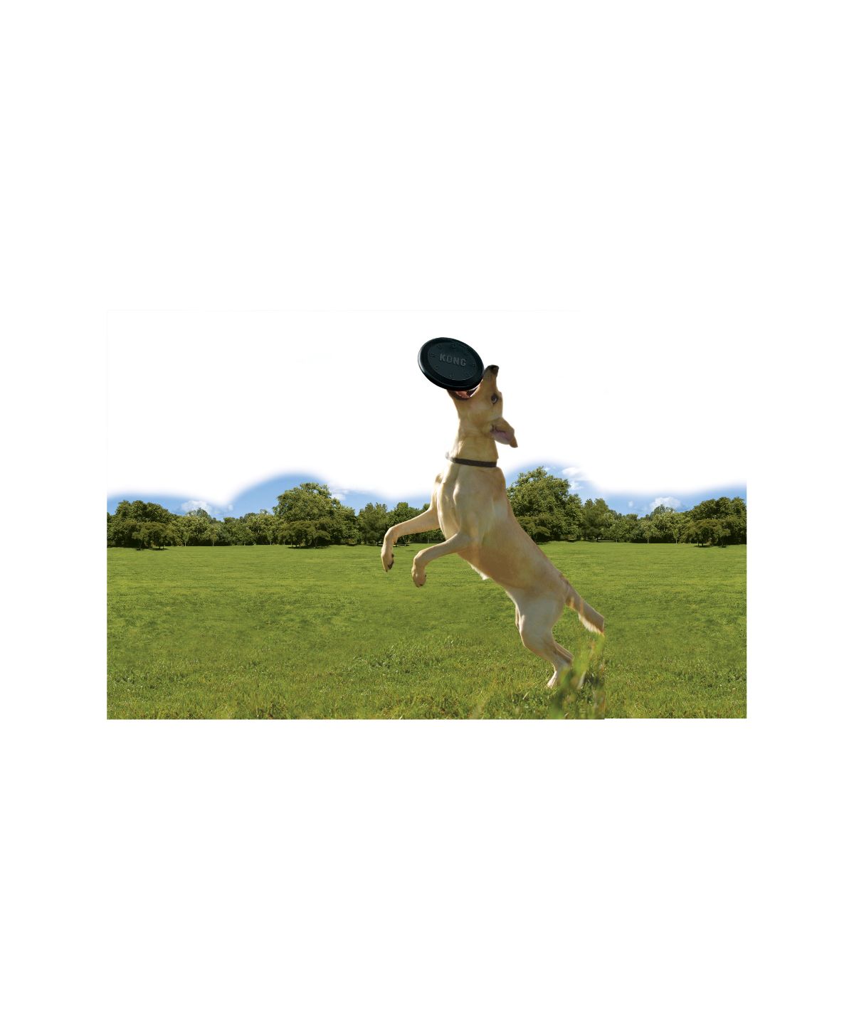 Kong frisbee extreme