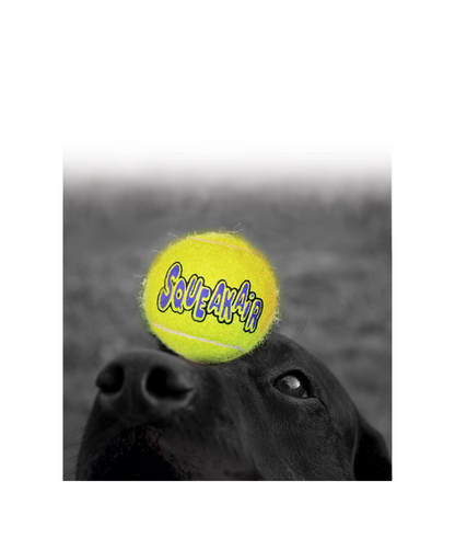 Kong hond Squeak-air tennisballen