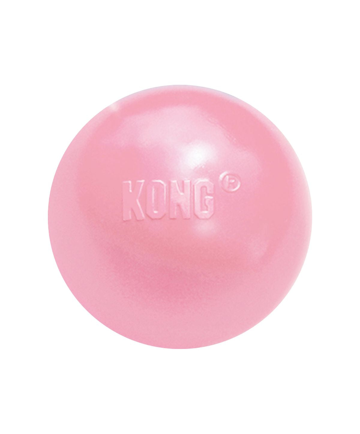 Kong puppy snackbal