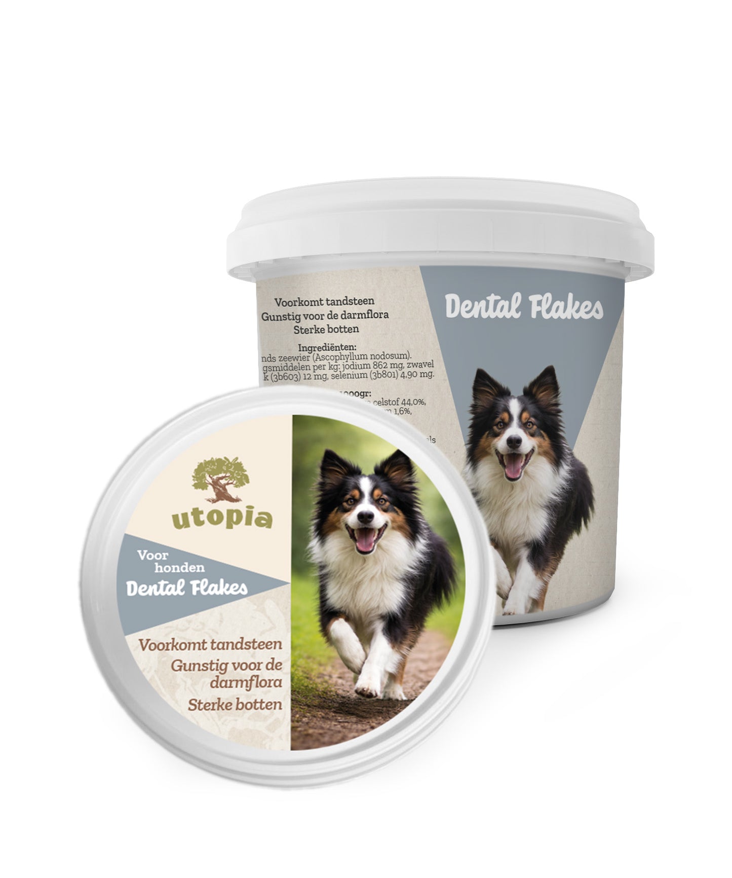 Dental Flakes