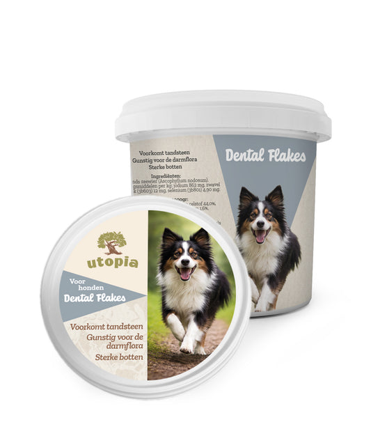 Dental Flakes
