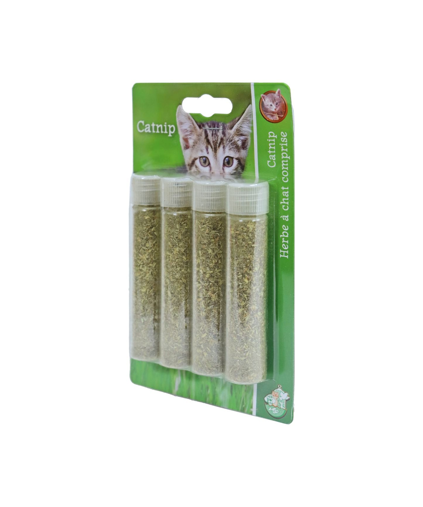 Catnip