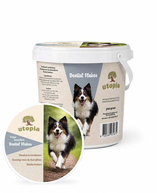 Dental Flakes