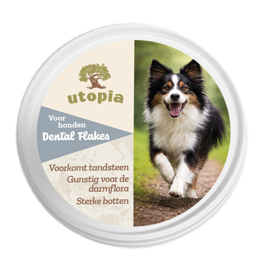 Dental Flakes
