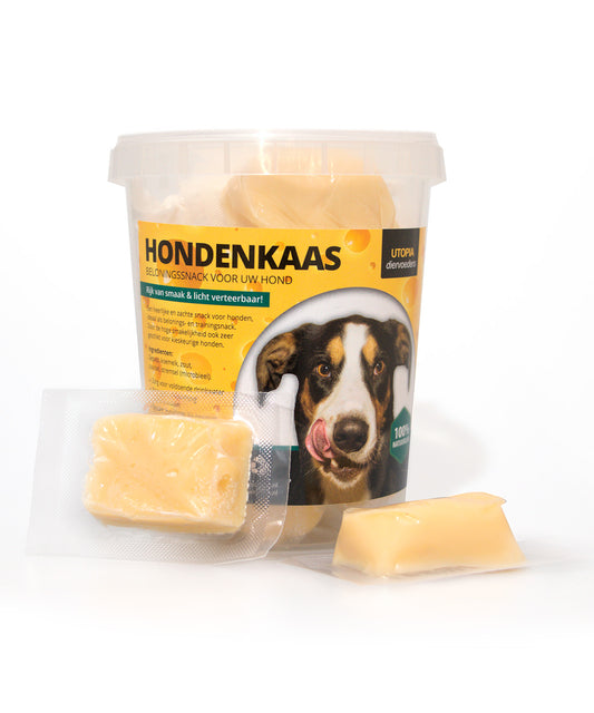 Hondenkaas