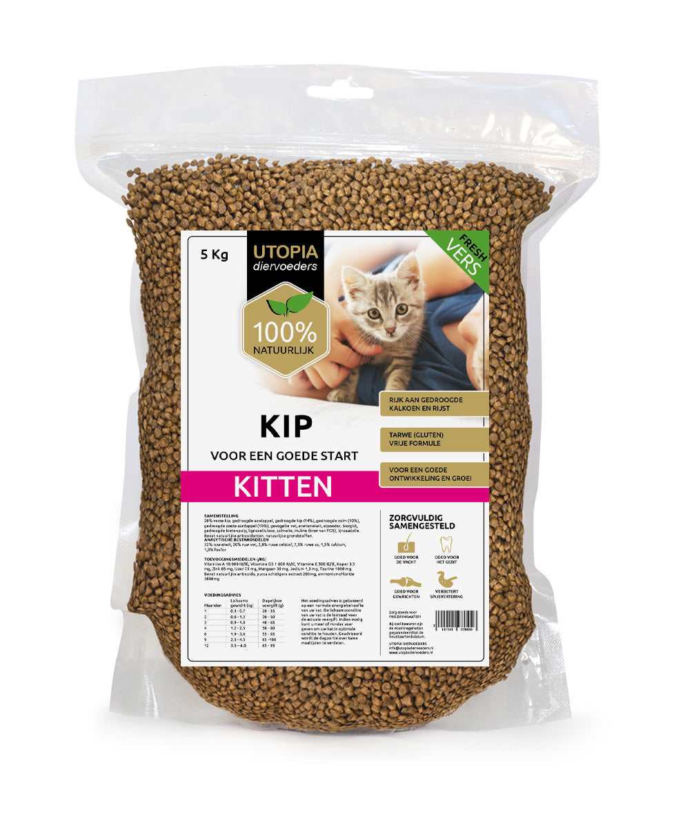kitten KIP 5kg