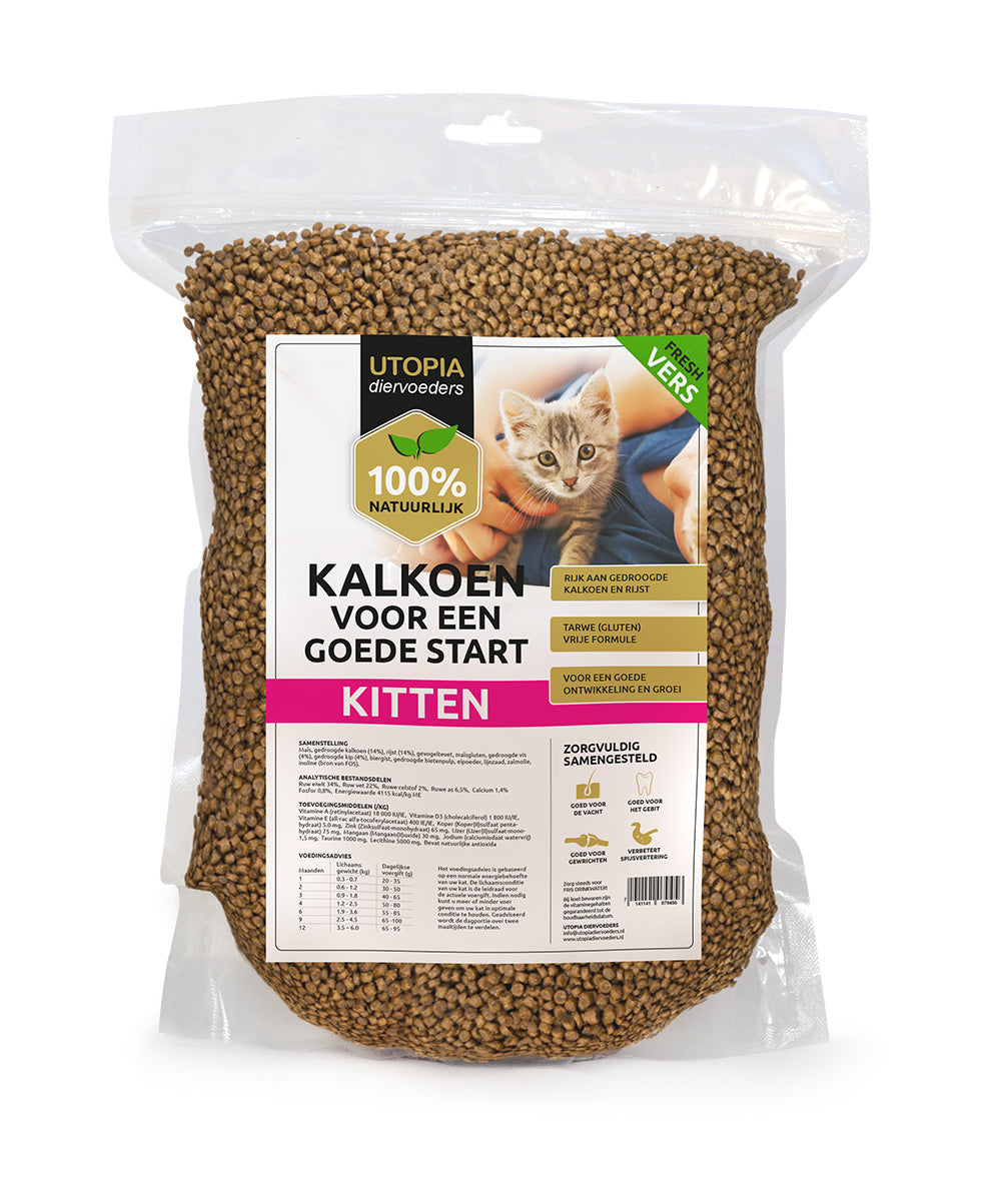 Kitten voeding met kalkoen