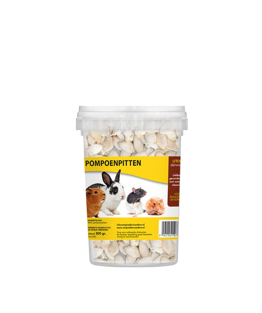 Pompoenpitten