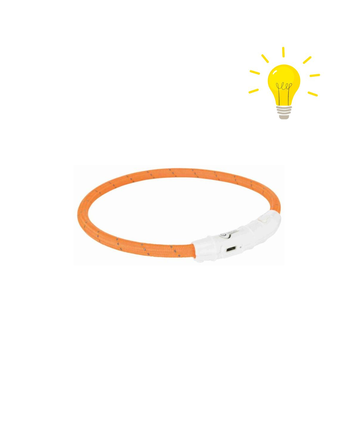 lichtgevend halsband oranje hond