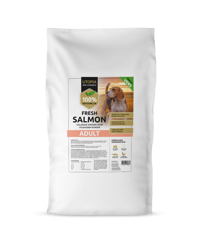 Fresh Salmon Adult
