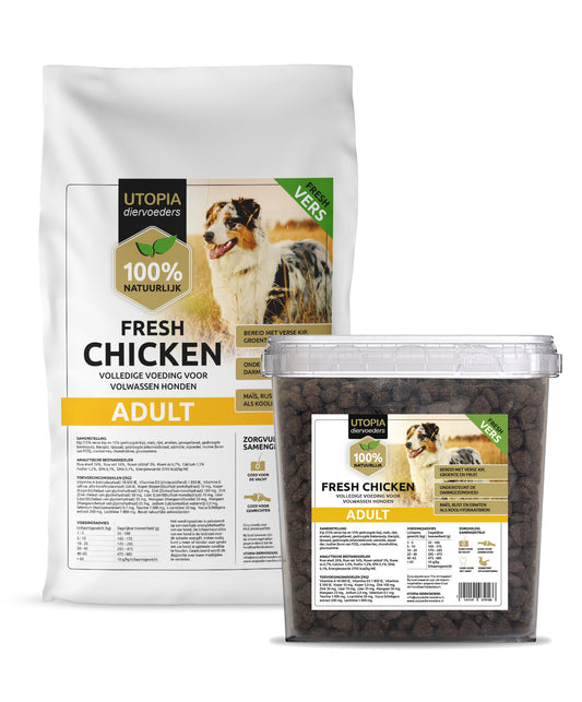 Fresh Chicken Adult