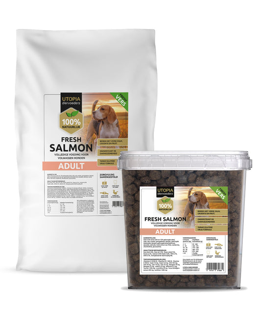 Fresh Salmon Adult