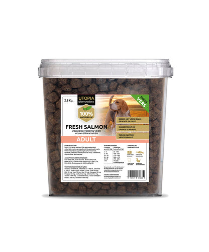 Fresh Salmon Adult