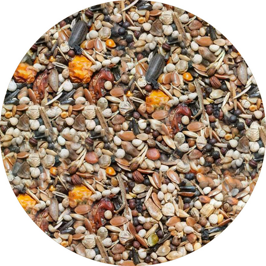 Goudvinken mix
