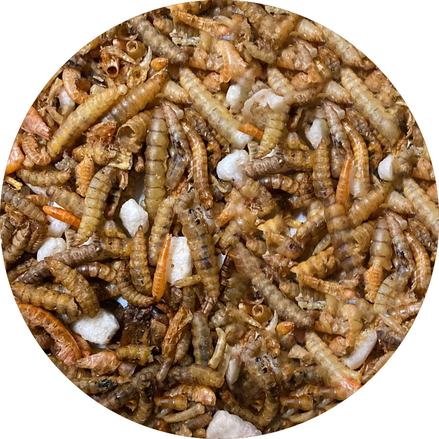 Insectenmix